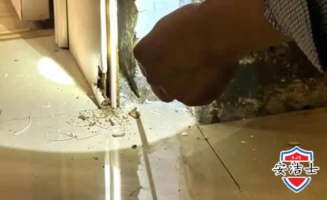 淳安房屋建筑防治白蚁