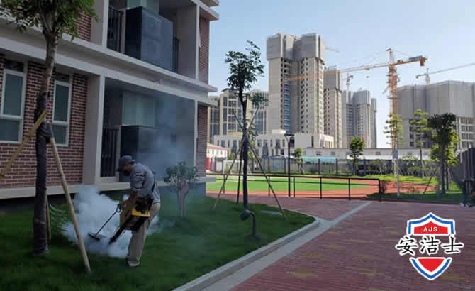 淳安工厂工地除白蚁