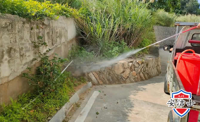 淳安道路堤坝白蚁防治