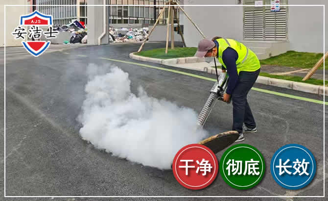 淳安消杀防疫现场