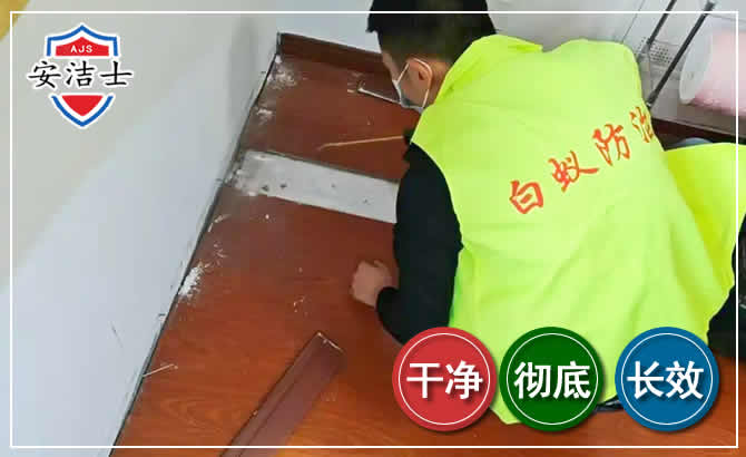 淳安除四害现场