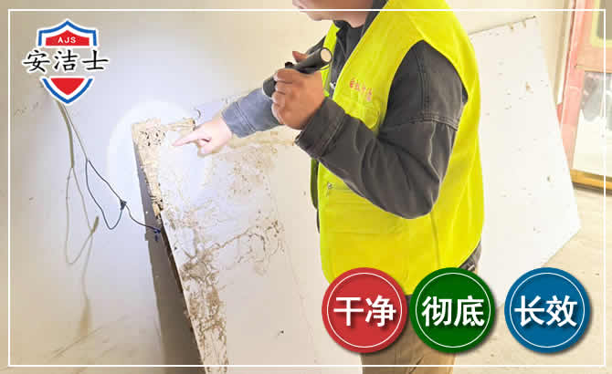 淳安除白蚁现场