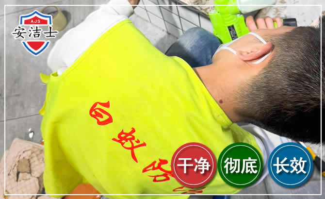 淳安白蚁根治现场